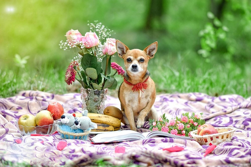 Фотография автора Мария Яропольская