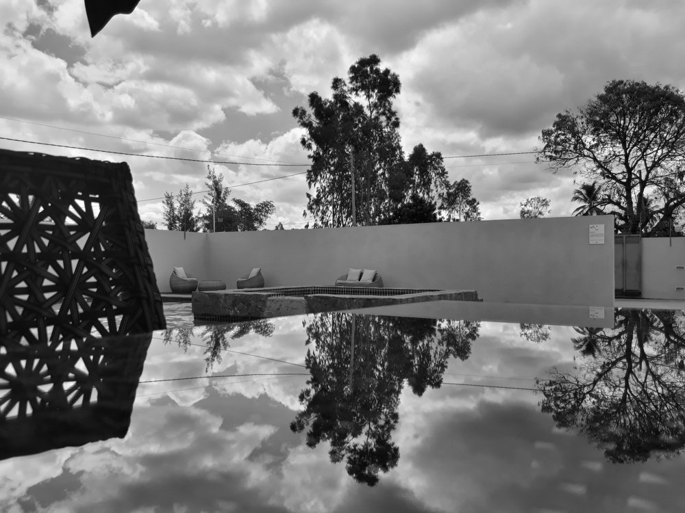 Black and white
