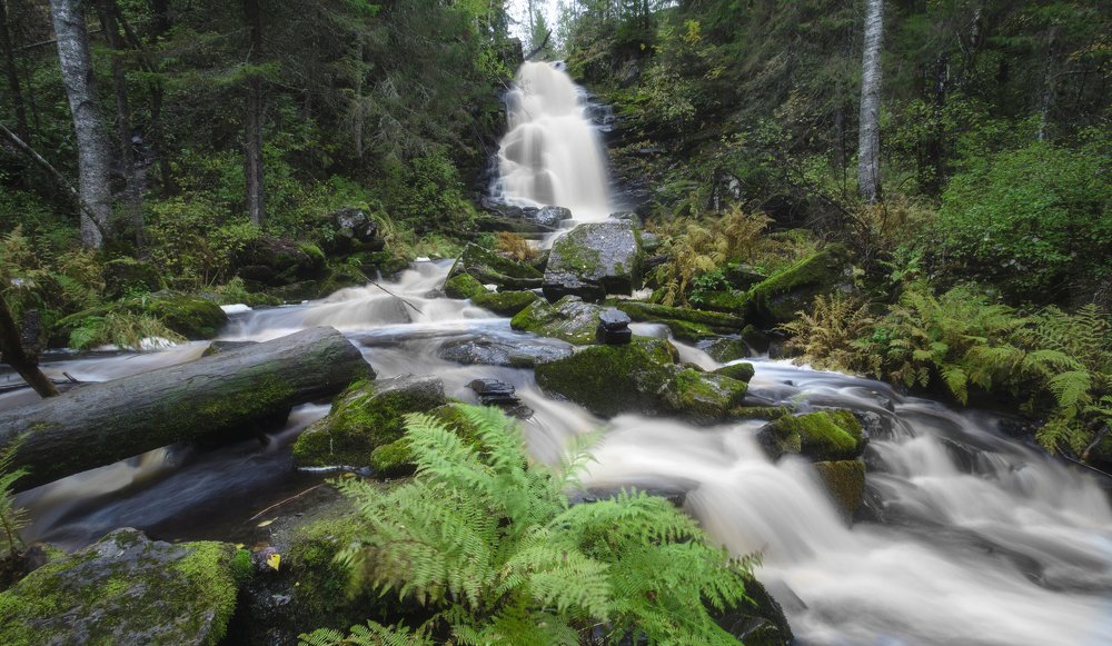 Photograph by Юрий Столыпин