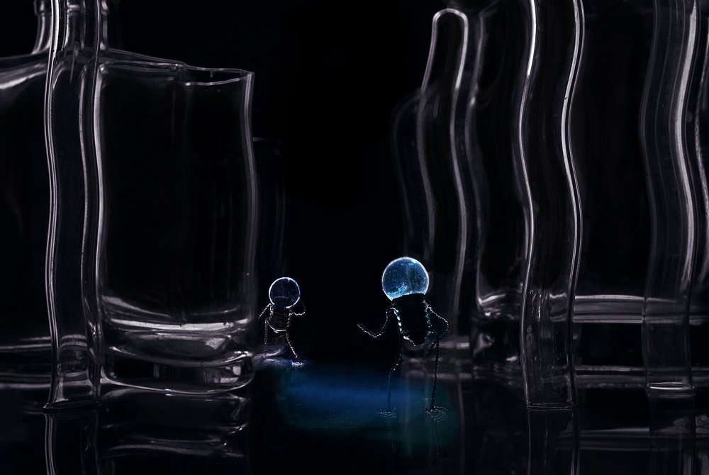 Bulbman. The meeting