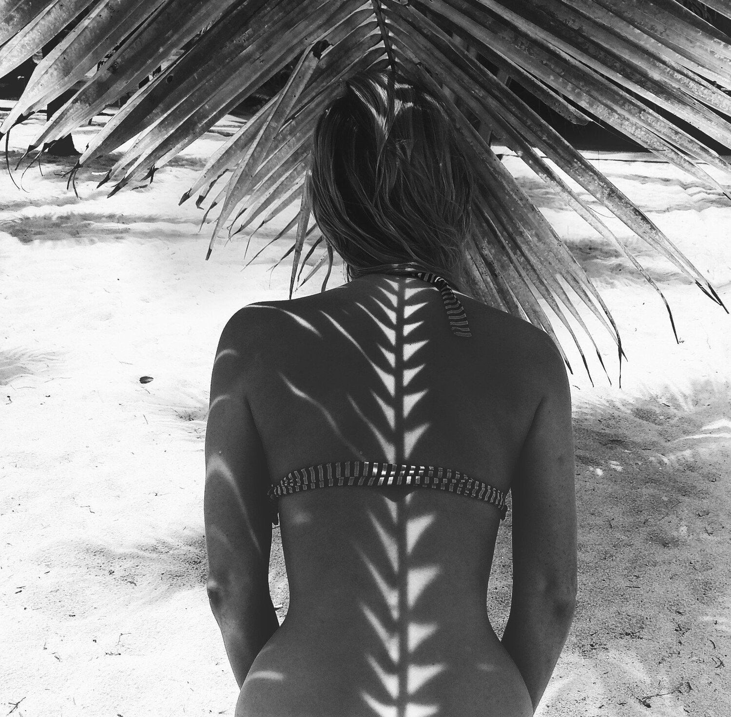 Shadow