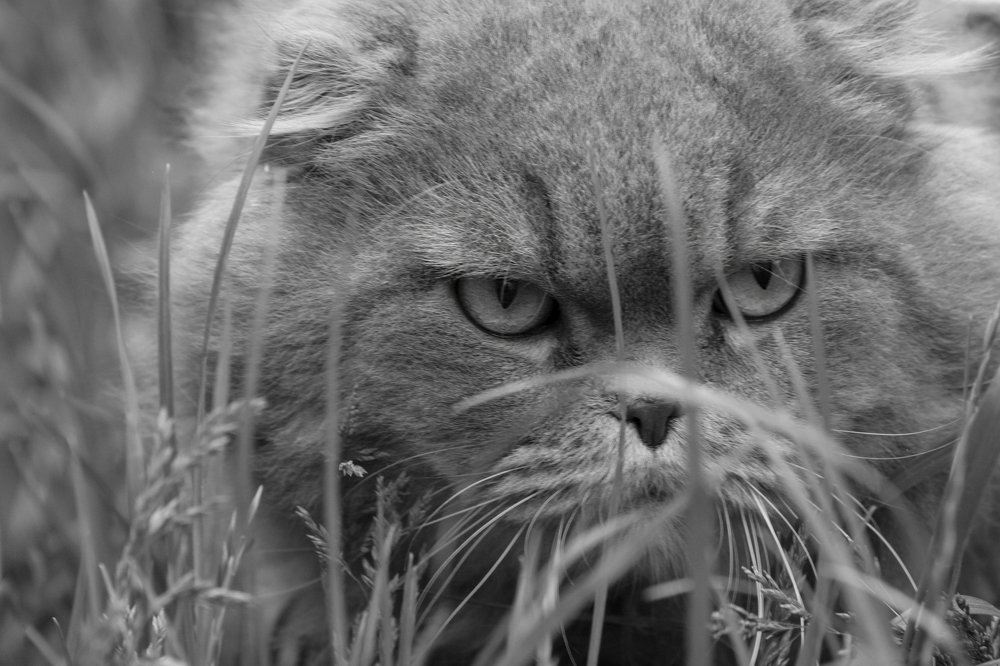 Photograph by Анастасия Безрокова