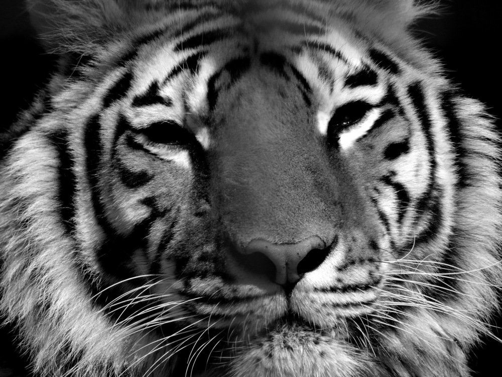 Photograph by Марина Раткун