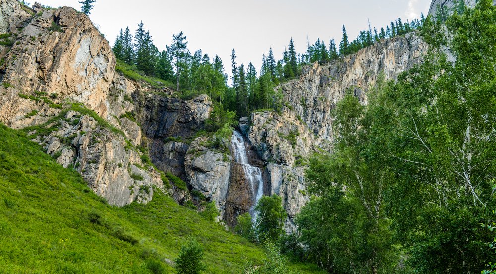 Чудеса природы!