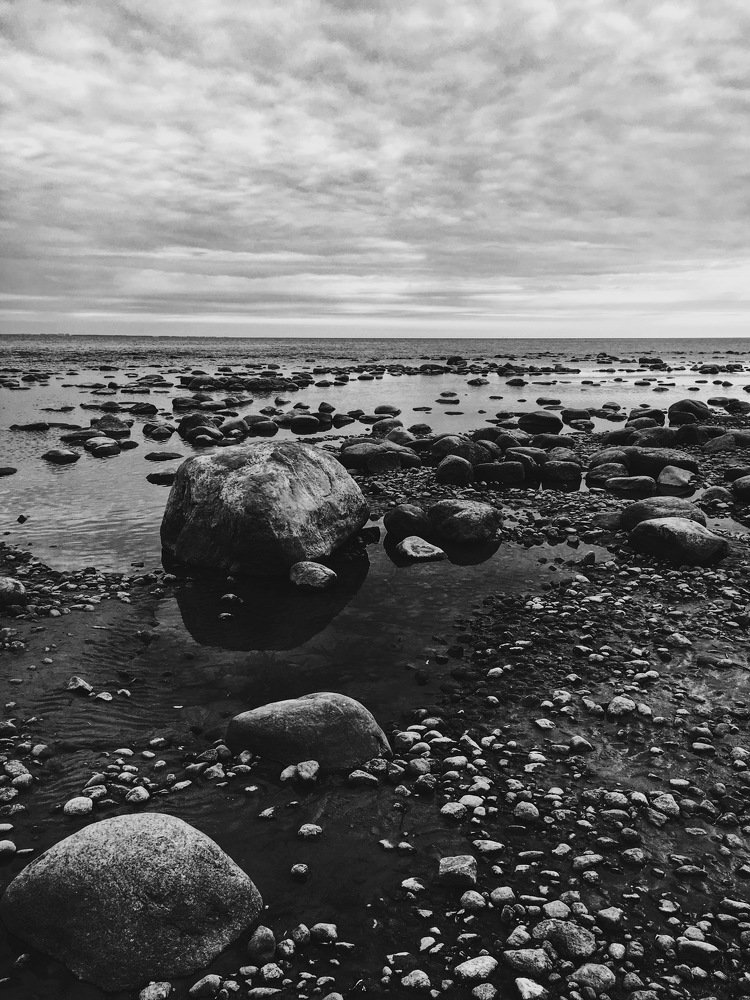 Ты знал, что камни умирают? Did you know that the stones are dying?