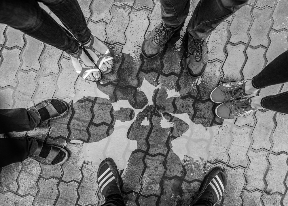 Photograph by Александр Кононов