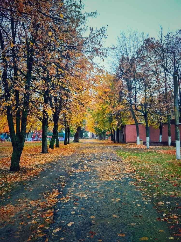 Autumn park