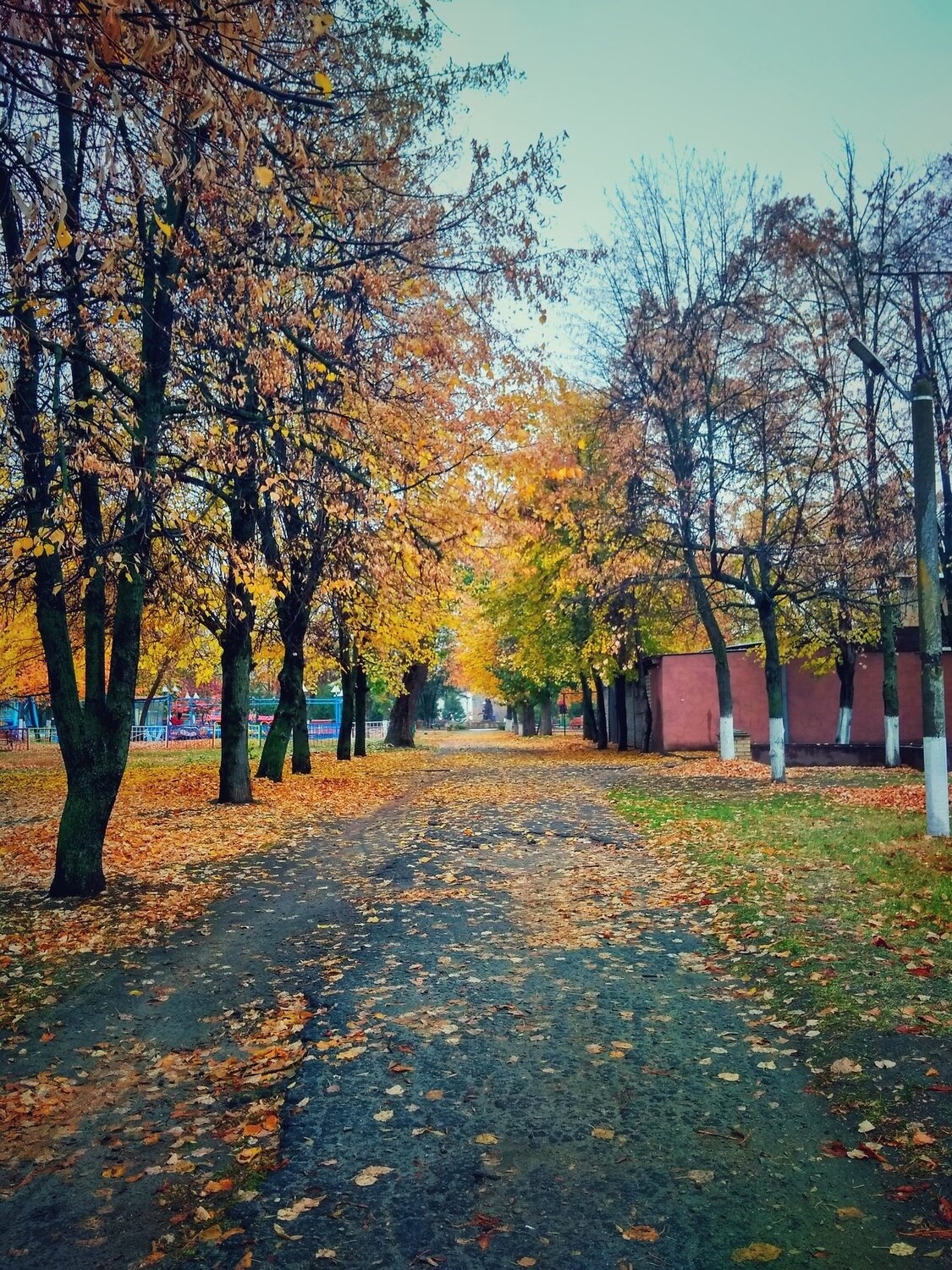 Autumn park
