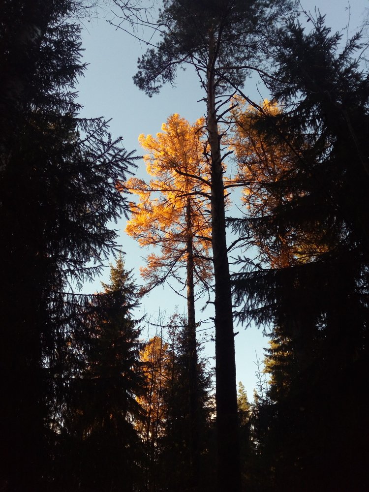 Photo #3203965