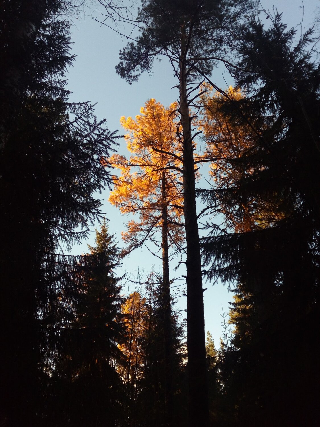 Photo #3203965