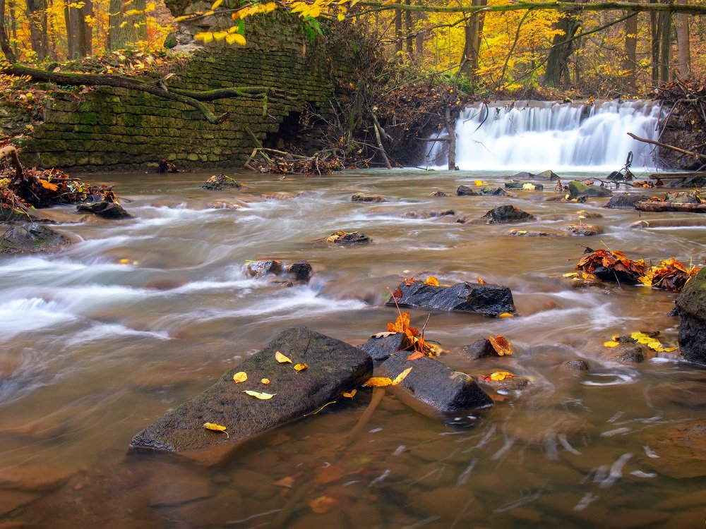 Вечер в осеннем лесу