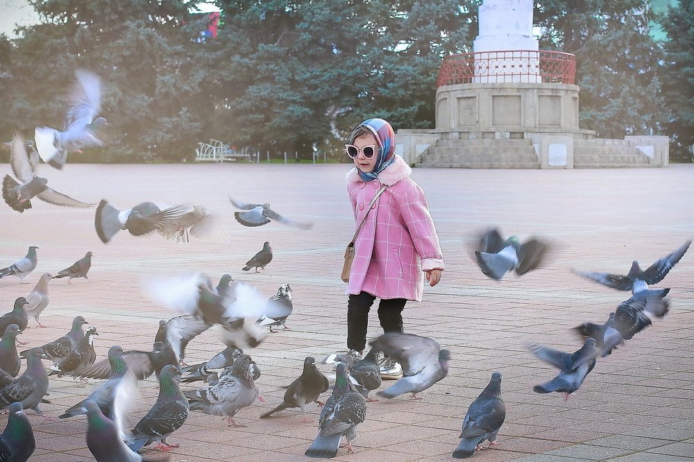 Гоняем голубей