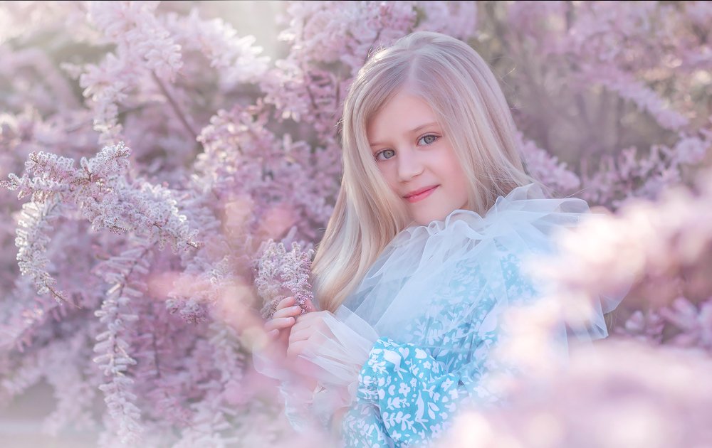 В розовой дымке