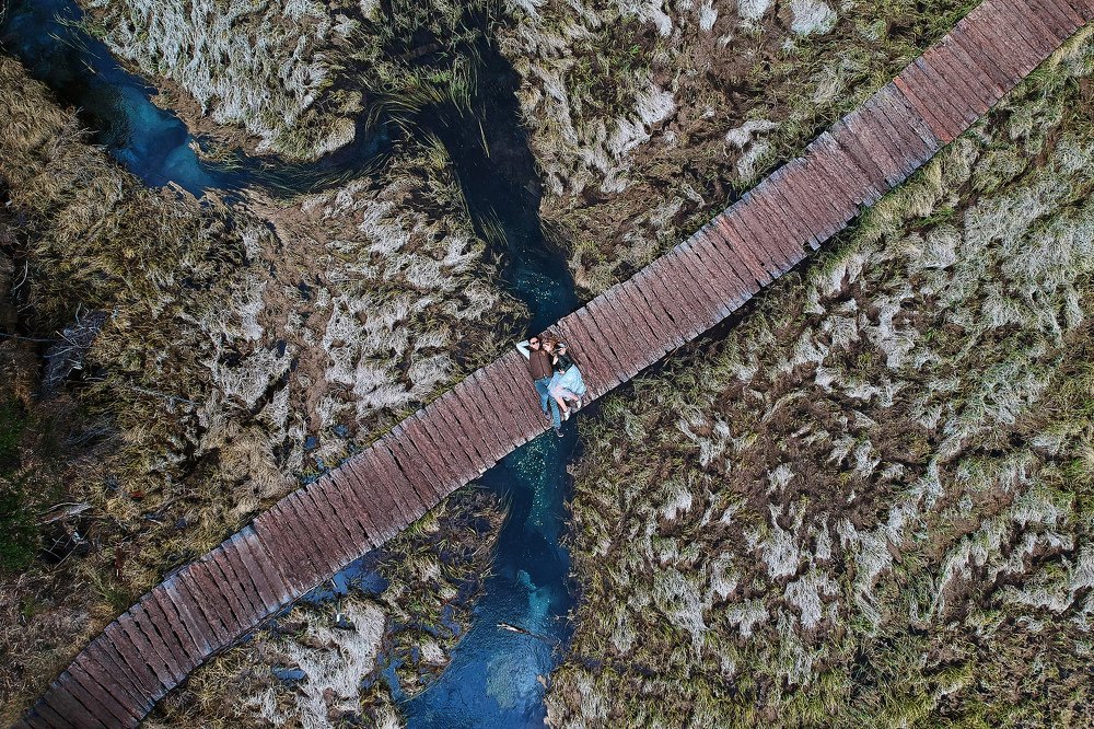 Течение жизни