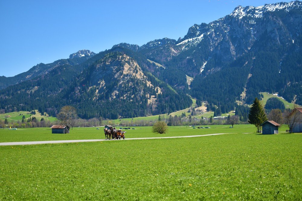 Повозка с лошадьми