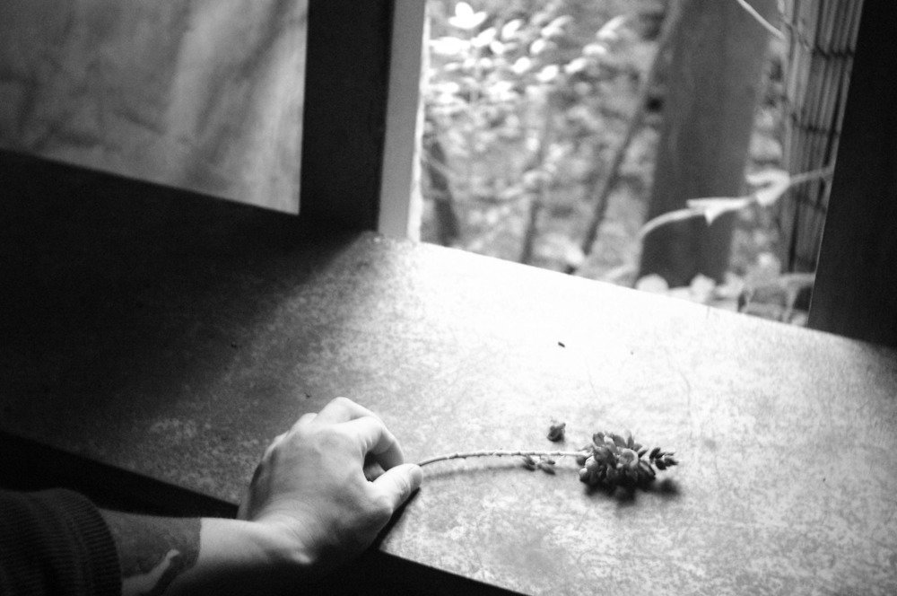 Give Me Flowers While I Can Still Smell Them