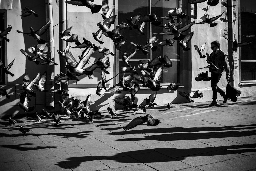 Photograph by Андрей Кульков