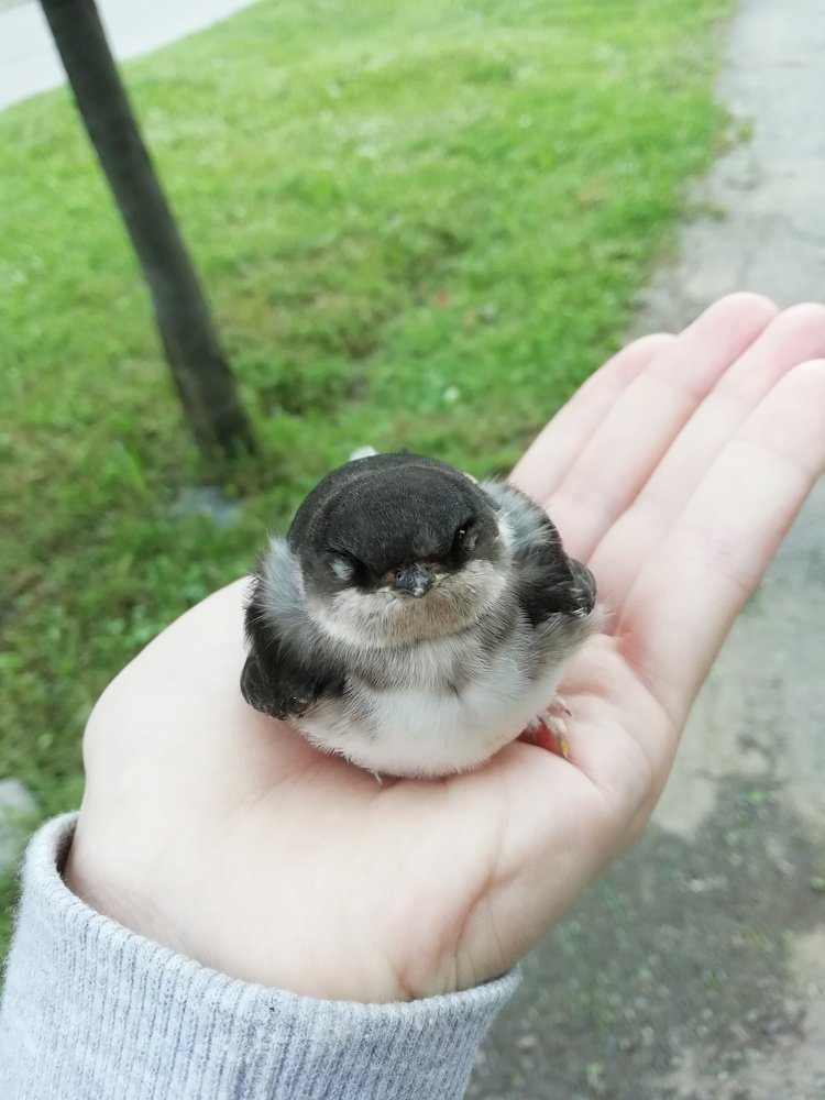 Сквозь объектив
