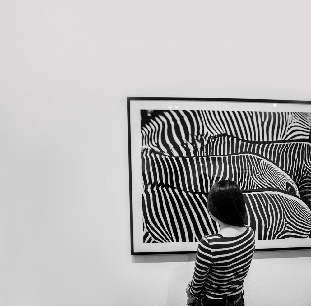 Полосы нашей жизни