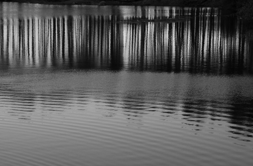 Photograph by Мария Самоловова