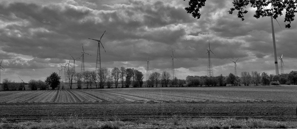 Ветряные мельницы. Die Windmühlen.