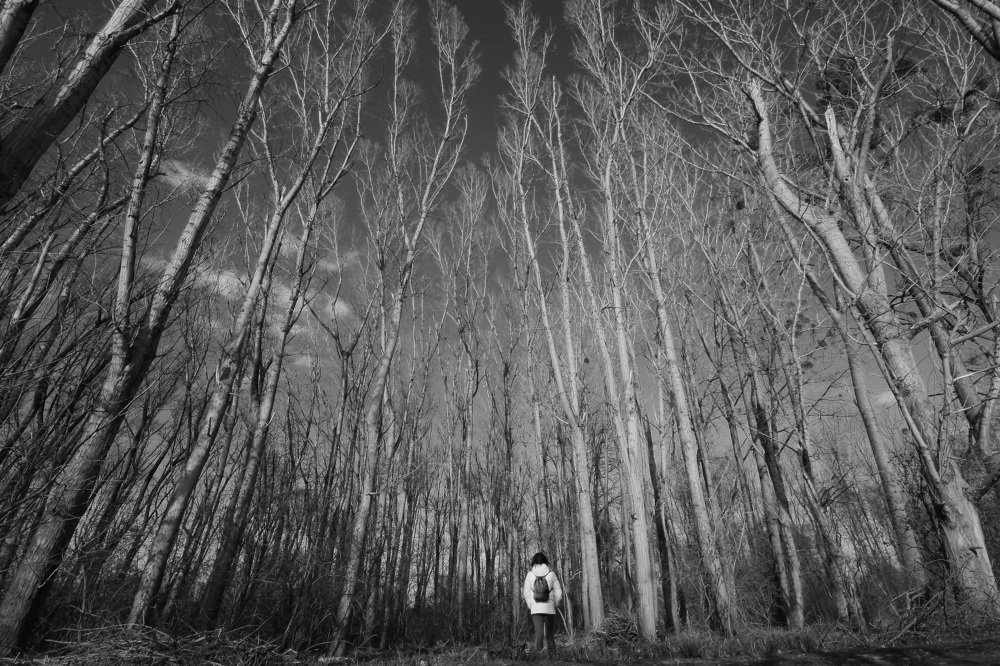 In the embrace of nature.