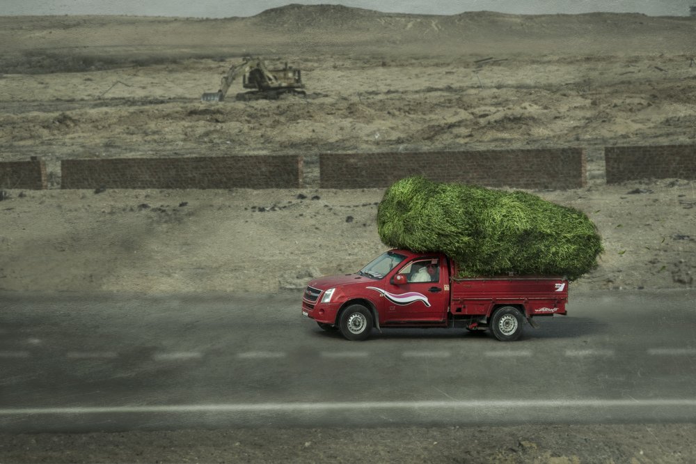 Опустошение(Devastation)