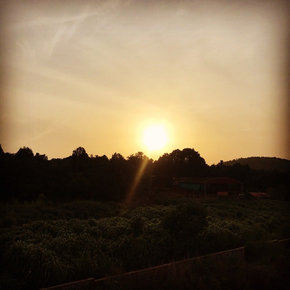 Фотография автора Naren Telluri