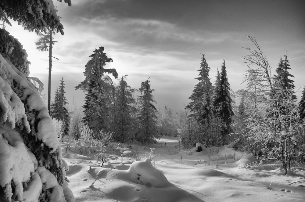 Photograph by Владимир