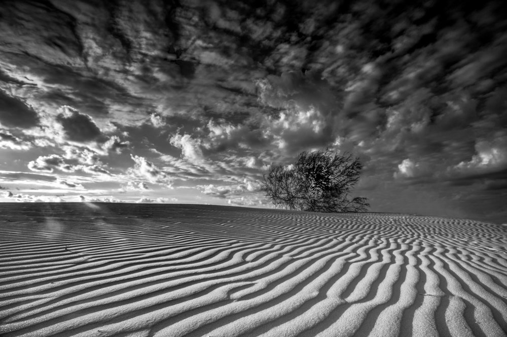 Photograph by Leonid Lan