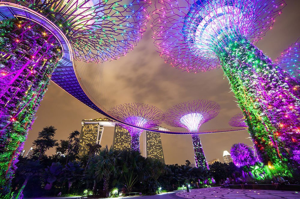 Сады у залива