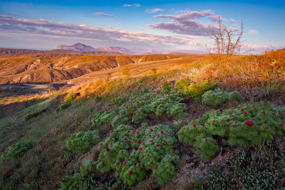 Фотография автора Евгений Ерохин