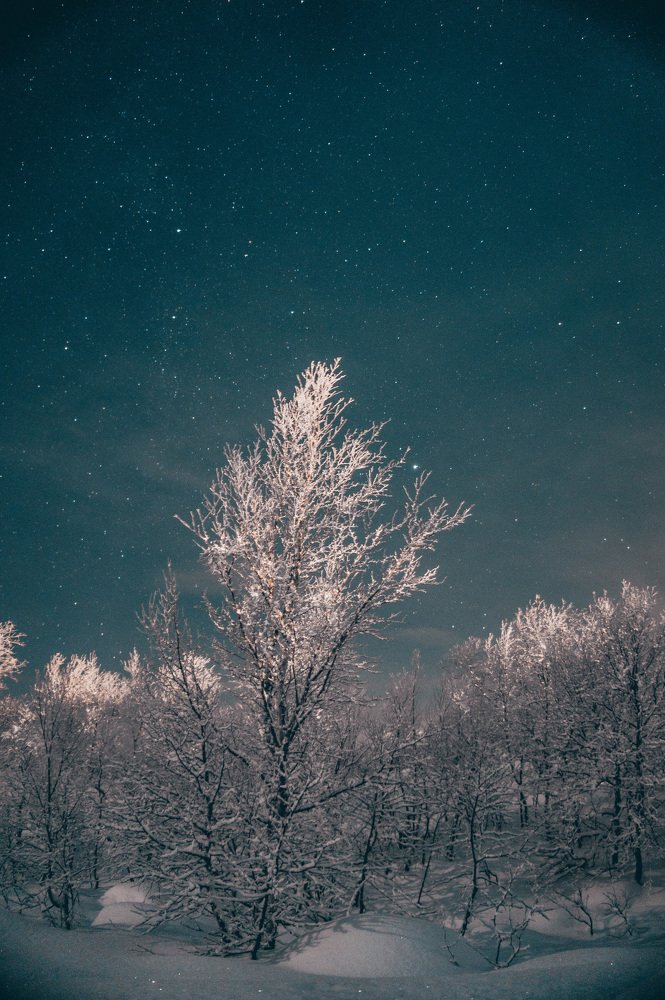 Морозная ночь