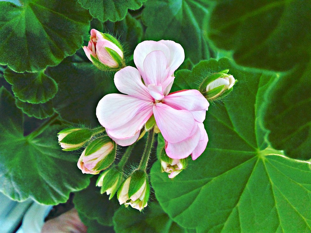 Photograph by Елена
