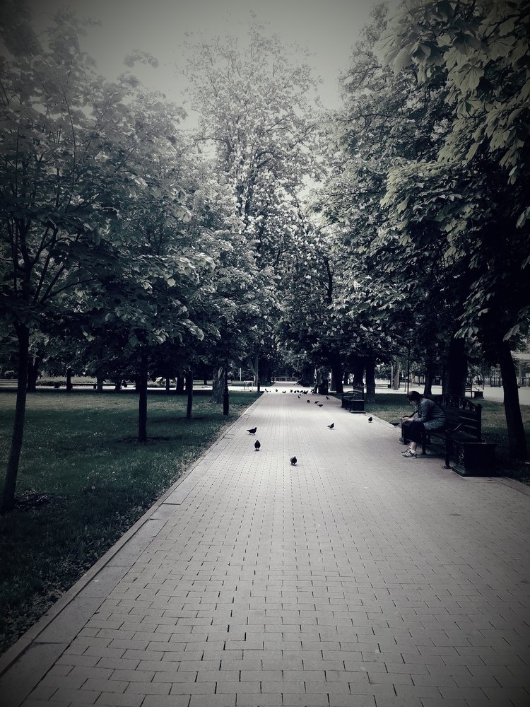 Photo #3205898