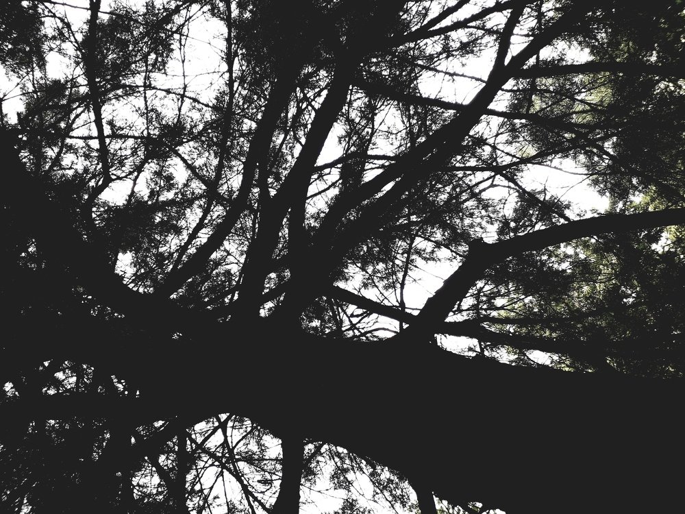 Photograph by Полина Погоняйло