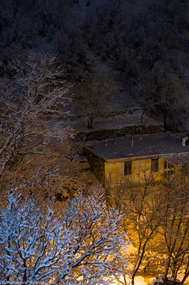 Photograph by Moslem Azimi