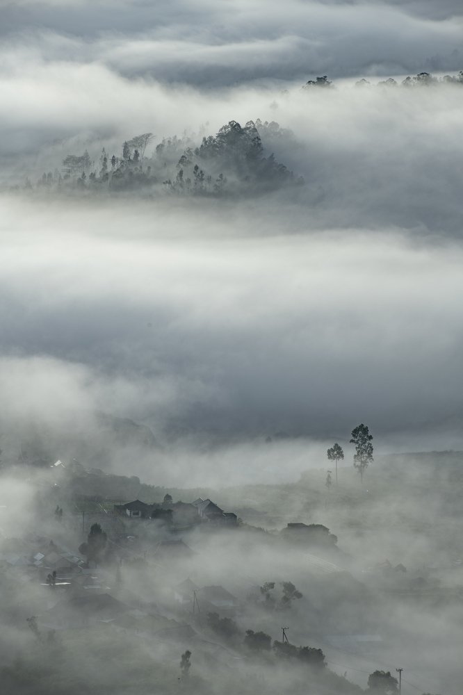 Misty Morning in Kintamani