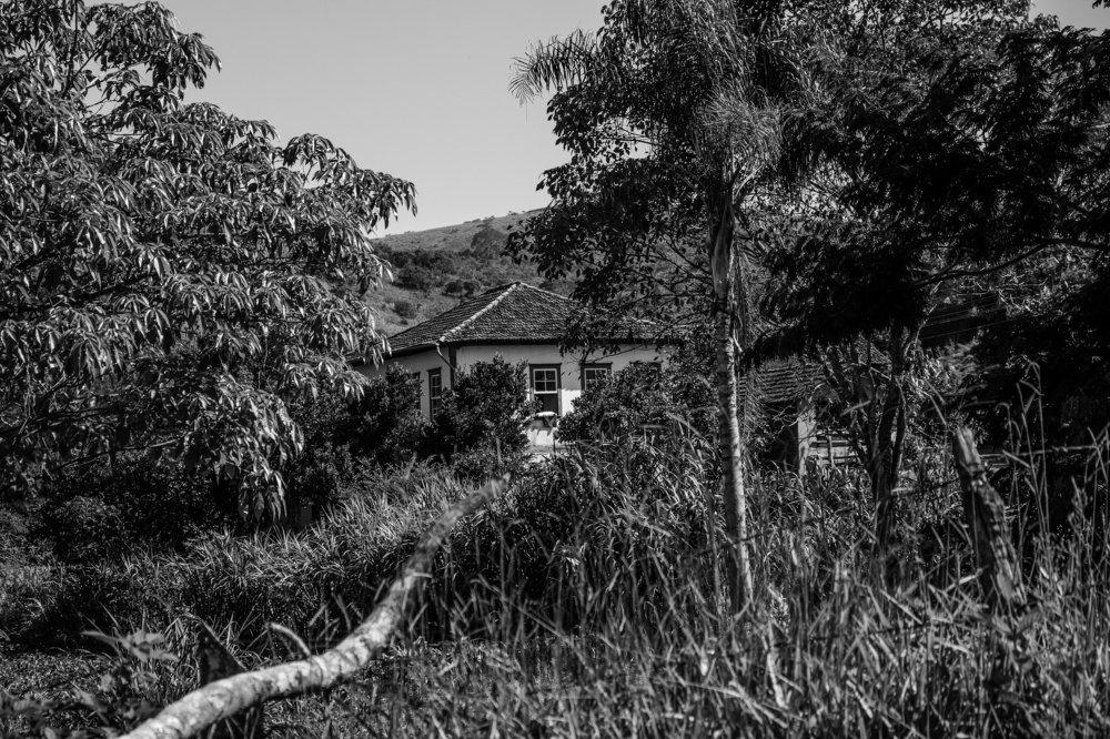 The House