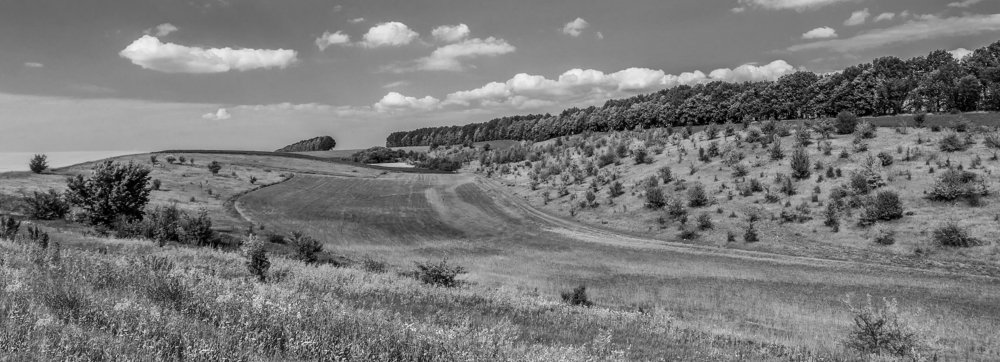 Photograph by Ясинский Юрий