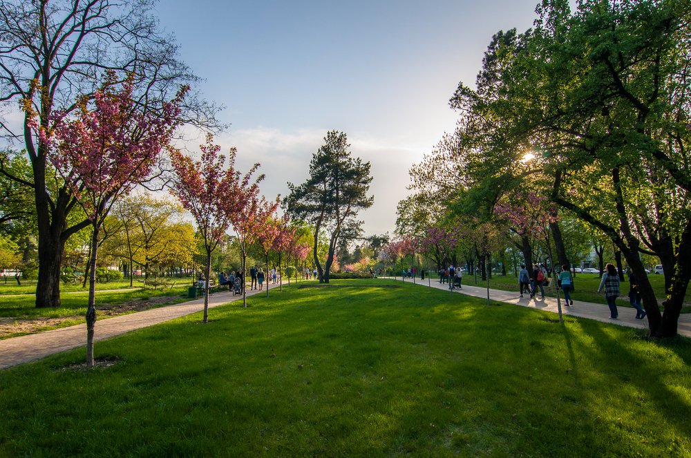 Photograph by Ясинский Юрий