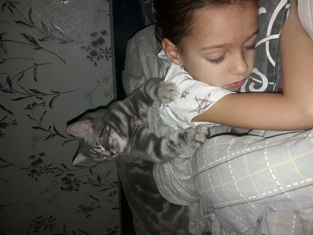 Photograph by Виктория Григорян