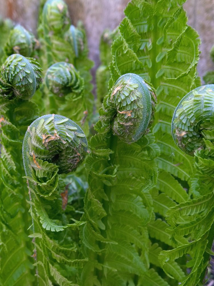 Photograph by Алексей Крукович