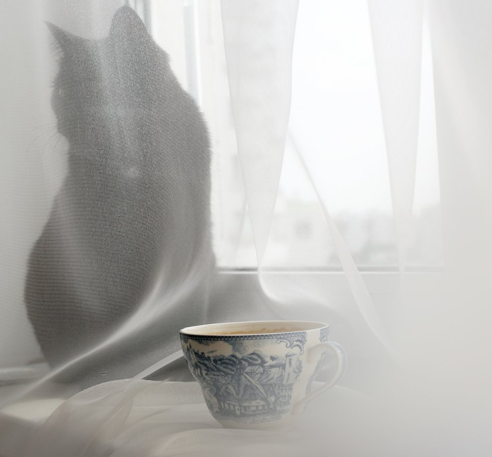 Любимые черты