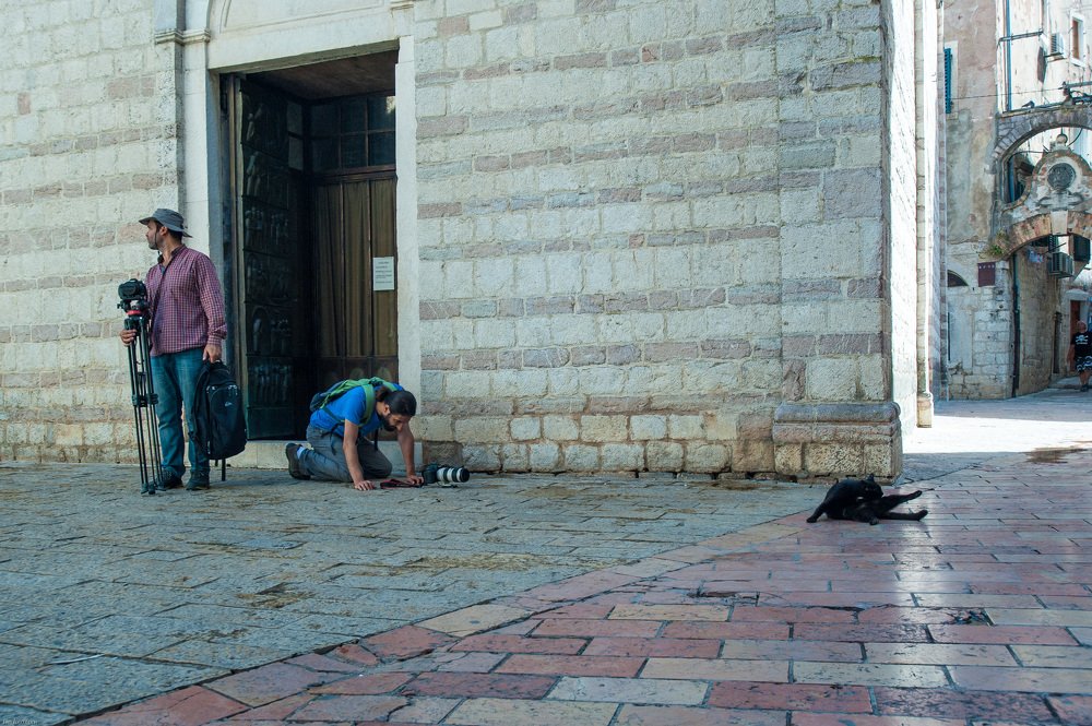 Фотография автора Денис Михайлов