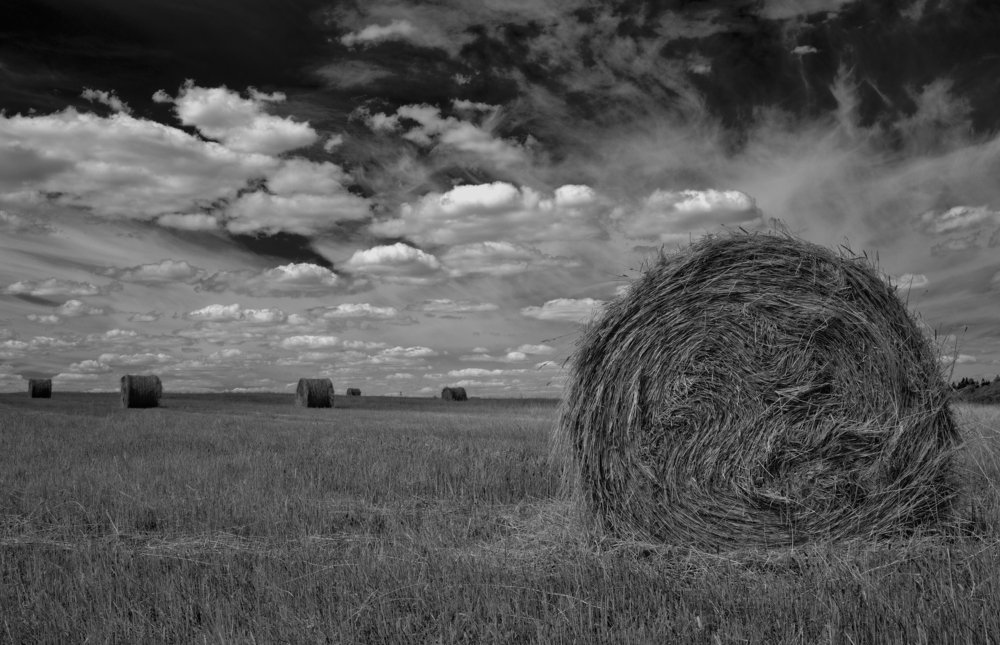 ...парящий...