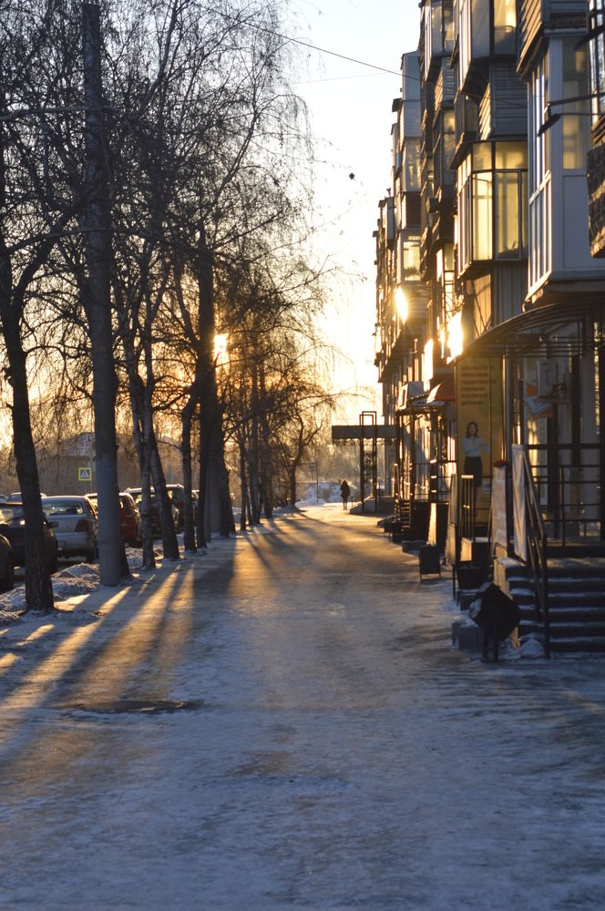 солнце красит ярким светом