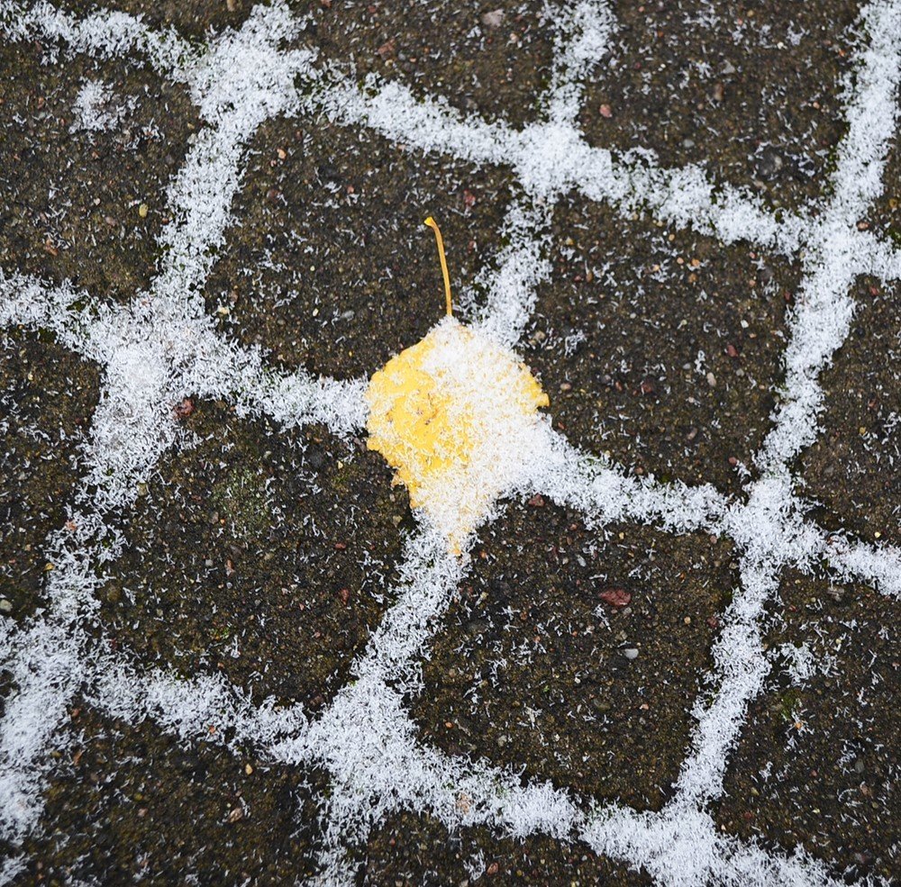 Осень сменяется зимой.