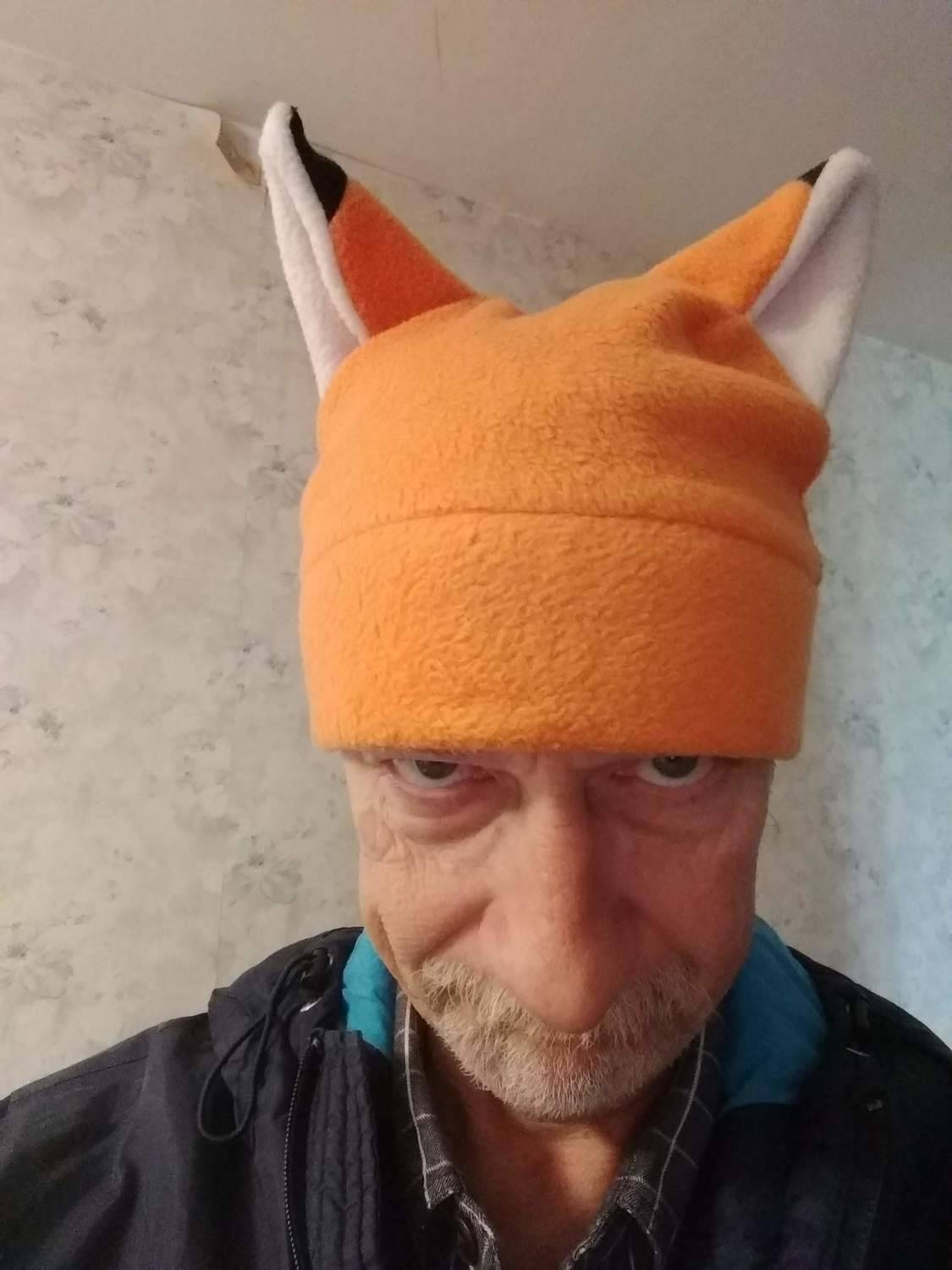 Злой лис.
