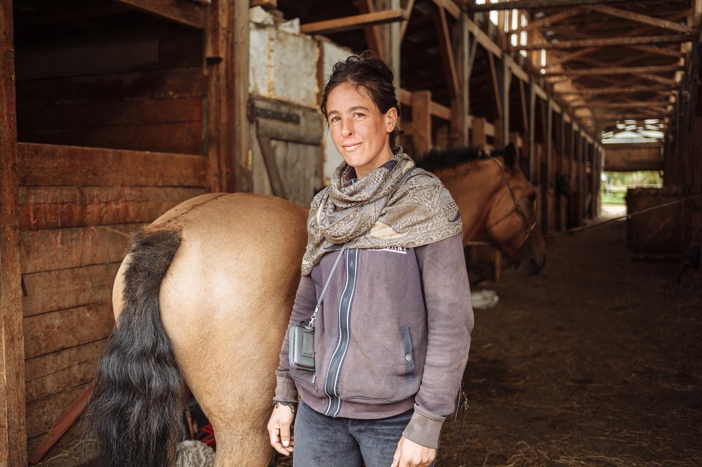 Стрела мира